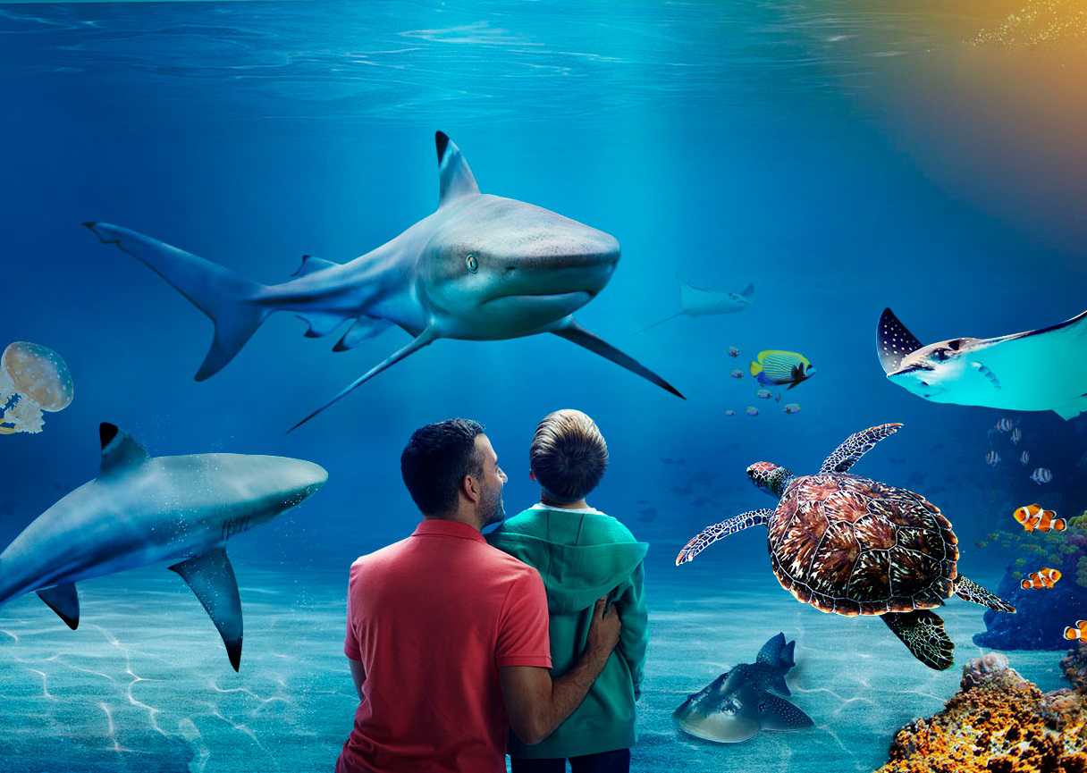 Fun in the Sun: Top Activities for Kids in Costa del Sol
